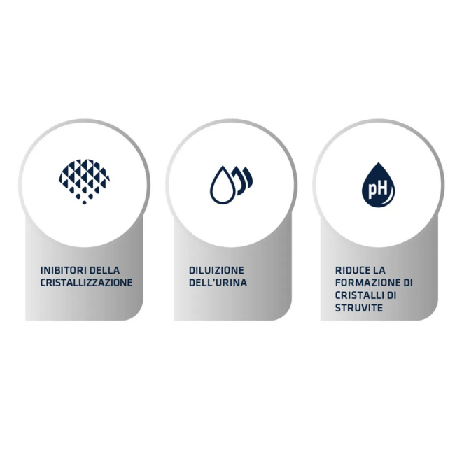 Gatto - Crocchette Advance 400gr Urinary