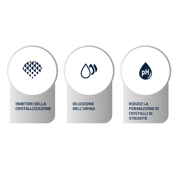 Gatto - Crocchette Advance 400gr Urinary