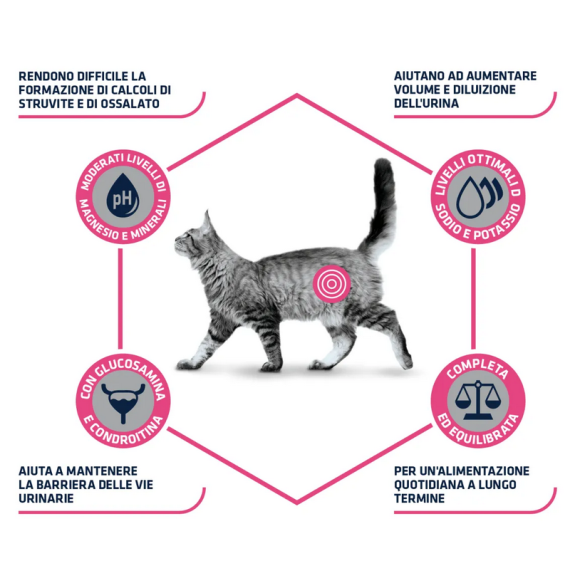 Gatto - Crocchette Advance 400gr Urinary