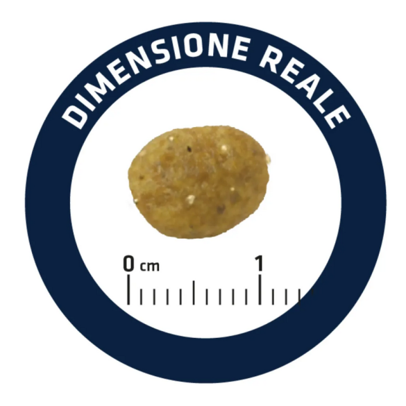 Gatto - Crocchette Advance 400gr Gastro Sensitive