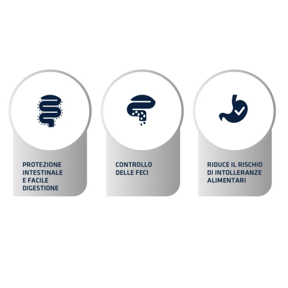 Gatto - Crocchette Advance 400gr Gastro Sensitive