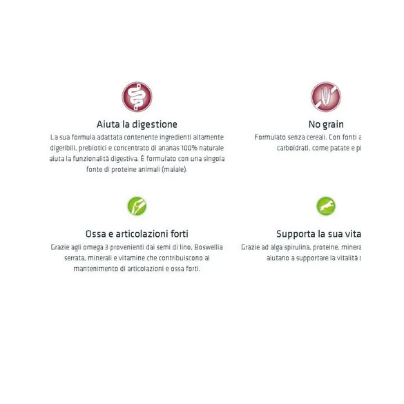 Cane - Natural Trainer Sensitive Adult 12Kg M/M Maiale No Grain