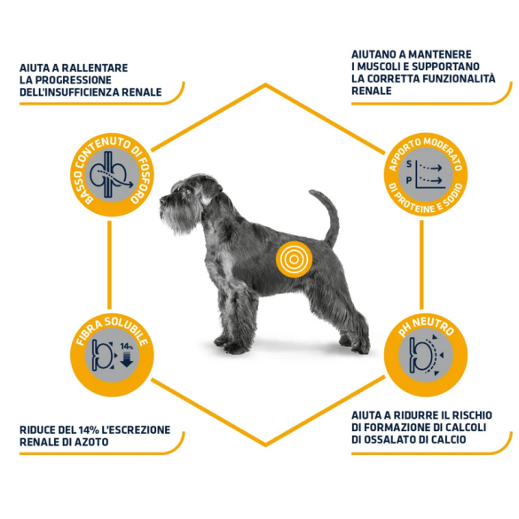 Crocchette Cane Advance 3Kg Renal