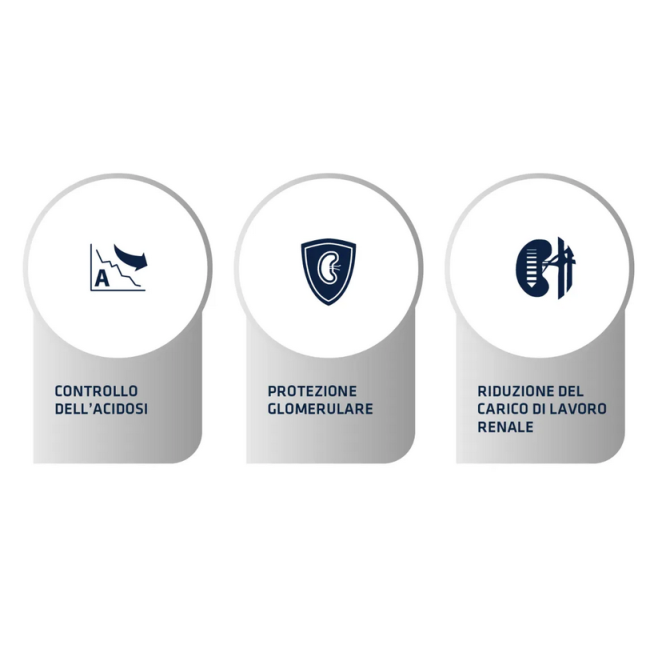 Crocchette Cane Advance 3Kg Renal