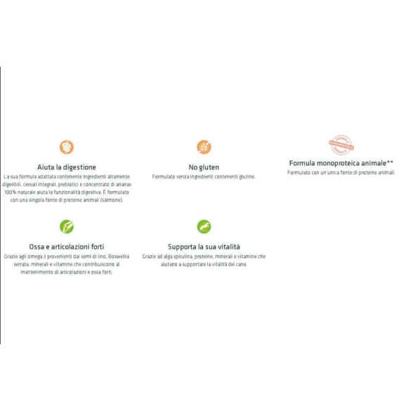 Cane - Natural Trainer Sensitive Adult Medium Maxi 12Kg Salmone No Gluten