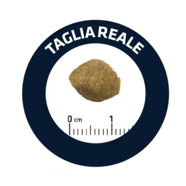 Cane - Advance 2,5Kg Hipoallergenic