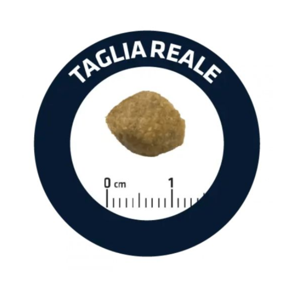 Cane - Advance 2,5Kg Hipoallergenic