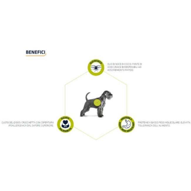 Cane - Advance 2,5Kg Hipoallergenic