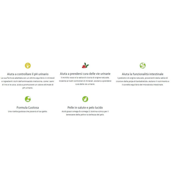 Gatto - Natural Trainer 300gr Urinary Pollo