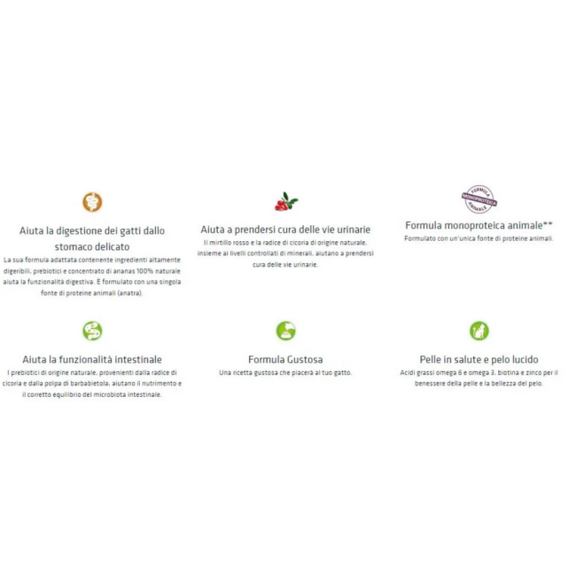 Gatto - Natural Trainer 1,5kg...