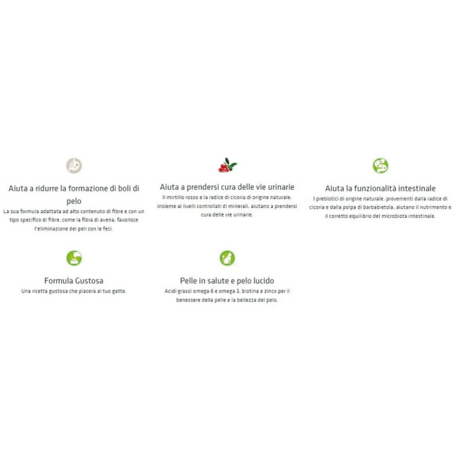 Gatto - Natural Trainer 300gr...