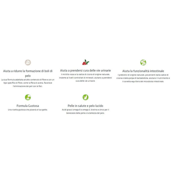 Gatto - Natural Trainer 300gr Hairball Pollo