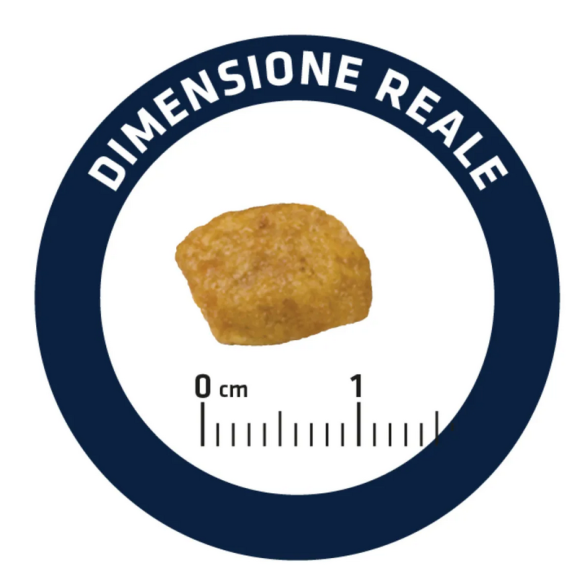 Gatto - Advance 1.5Kg Urinary