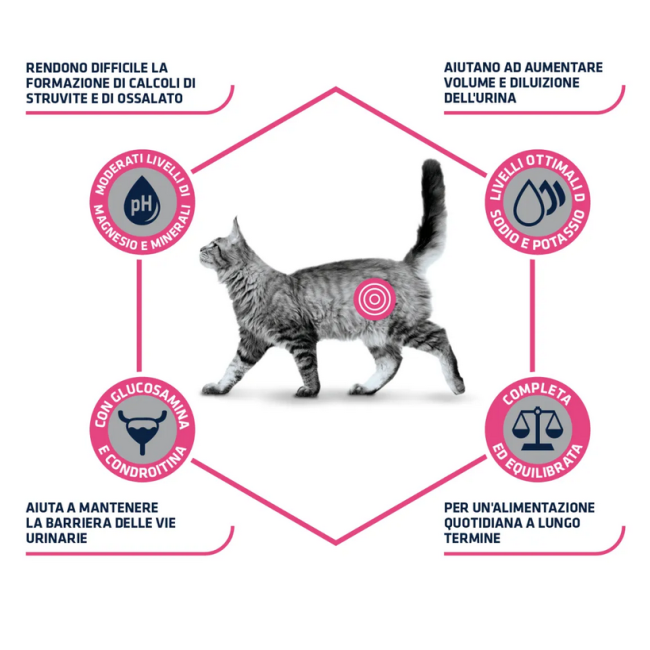 Gatto - Advance 1.5Kg Urinary