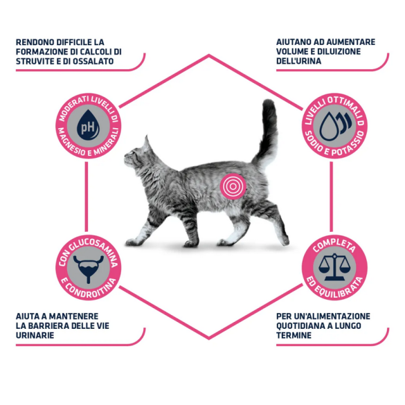 Gatto - Advance 1.5Kg Urinary