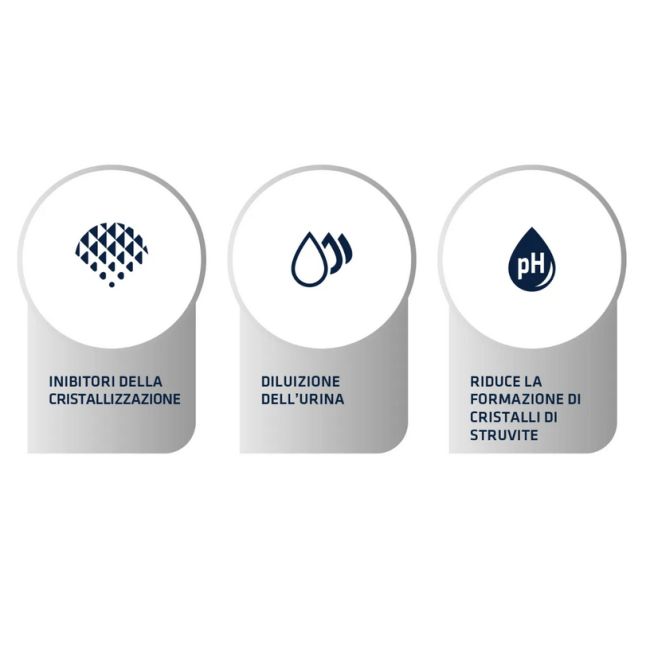 Gatto - Advance 1.5Kg Urinary