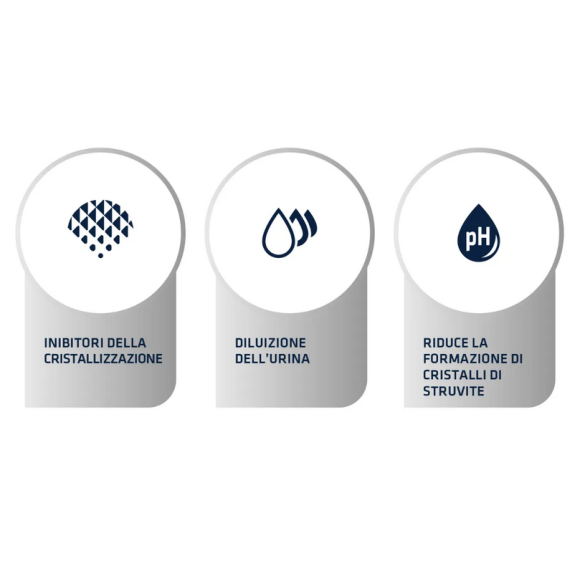 Gatto - Advance 1.5Kg Urinary