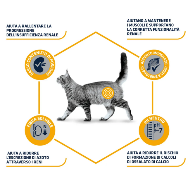 Gatto - Advance 1,5kg Renal