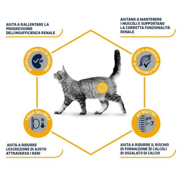 Gatto - Advance 1,5kg Renal