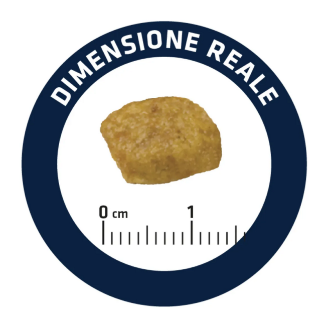 Gatto - Advance 1,5kg Renal