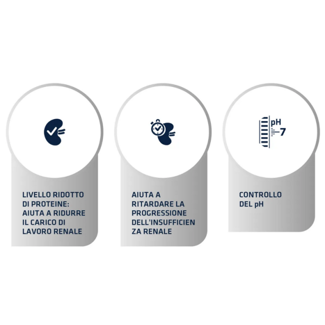 Gatto - Advance 1,5kg Renal