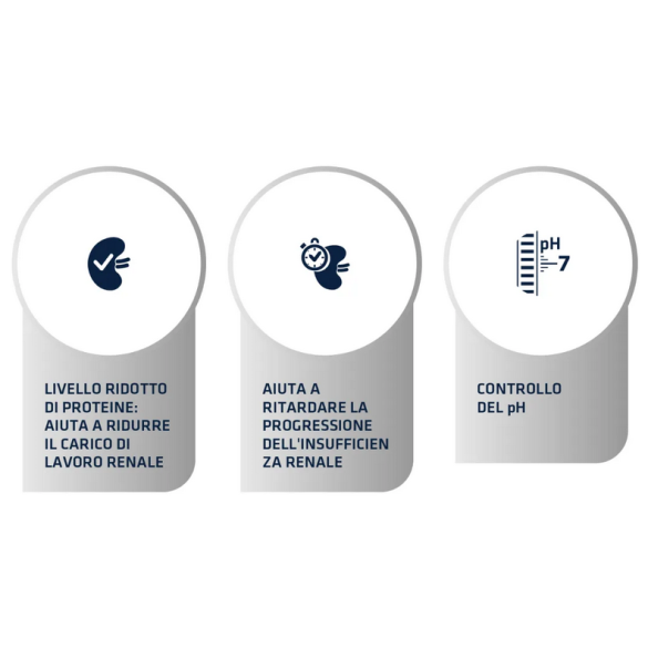 Gatto - Advance 1,5kg Renal