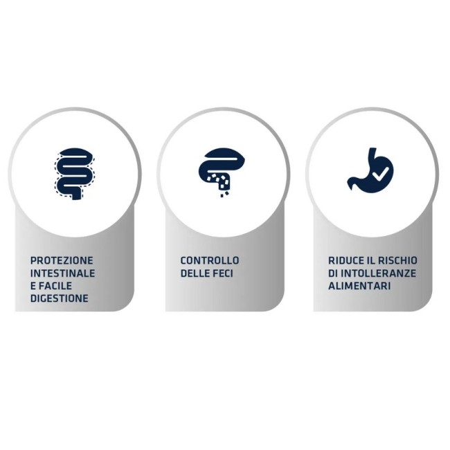 Gatto - Advance 1,5kg Gastroenteric...