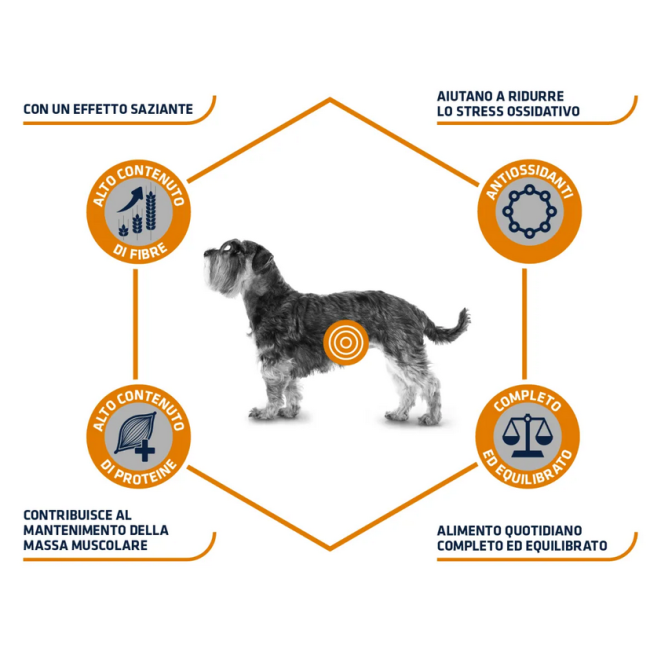 Cane - Advance 1,5kg Weight Balance Mini