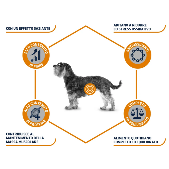Cane - Advance 1,5kg Weight Balance Mini