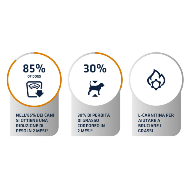 Cane - Advance 1,5kg Weight Balance Mini