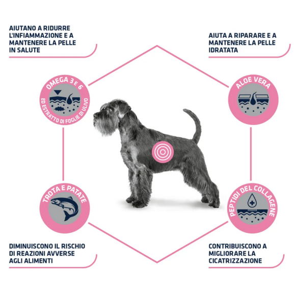 Cane - Advance 3kg Atopic Medium Maxi Trota