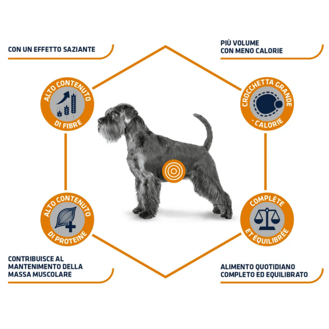 Cane - Advance 3kg Weight Balance...