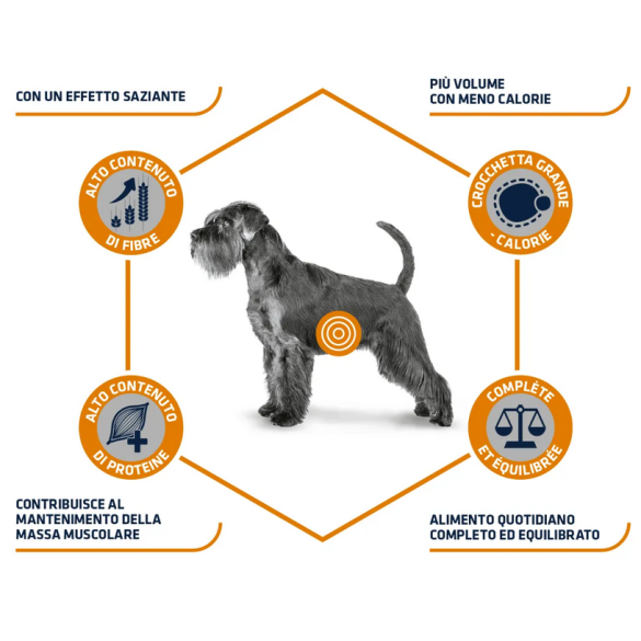 Cane - Advance 3kg Weight Balance Medium Maxi