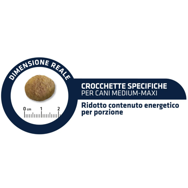 Cane - Advance 3kg Weight Balance...