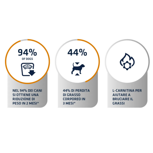Cane - Advance 3kg Weight Balance...