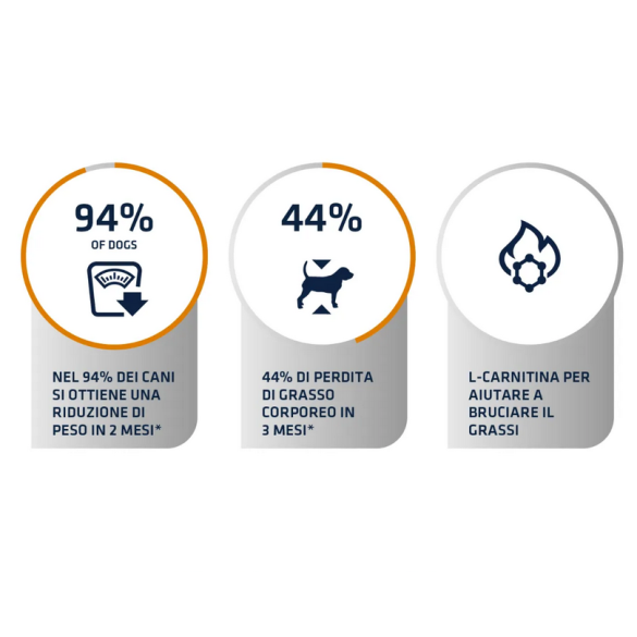 Cane - Advance 3kg Weight Balance Medium Maxi