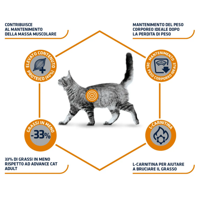 Gatto - Advance 1,5kg Weight Balance