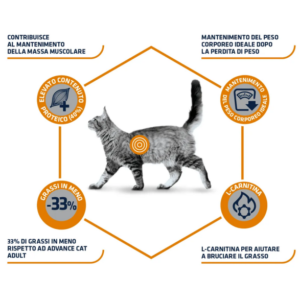 Gatto - Advance 1,5kg Weight Balance