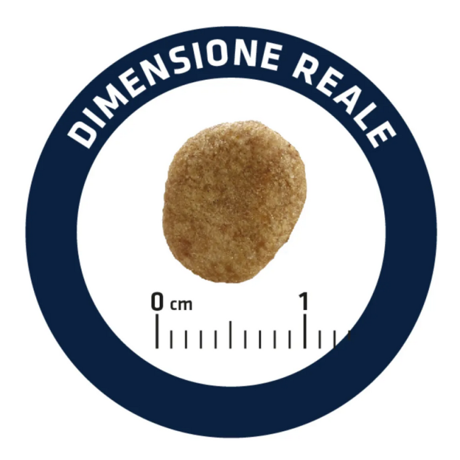 Gatto - Advance 1,5kg Weight Balance