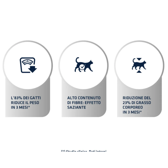 Gatto - Advance 1,5kg Weight Balance