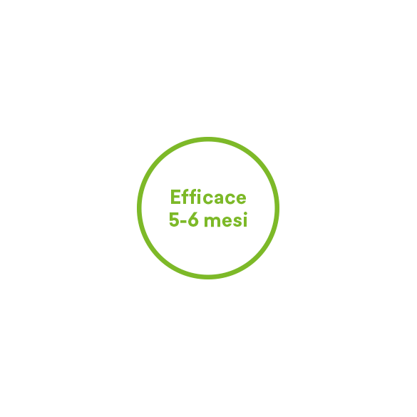 Pagoda Yellow Trappola Collata Alimentare Cromotropica Contro La Mosca Mediterranea Della Frutta