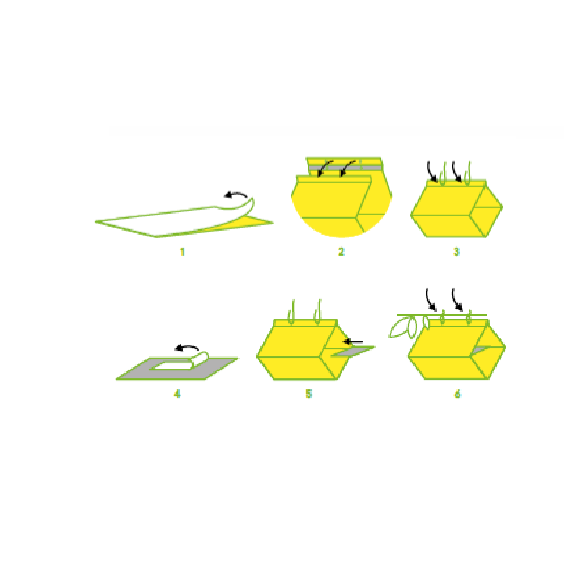 Pagoda Yellow Trappola Collata Alimentare Cromotropica Contro La Mosca Mediterranea Della Frutta