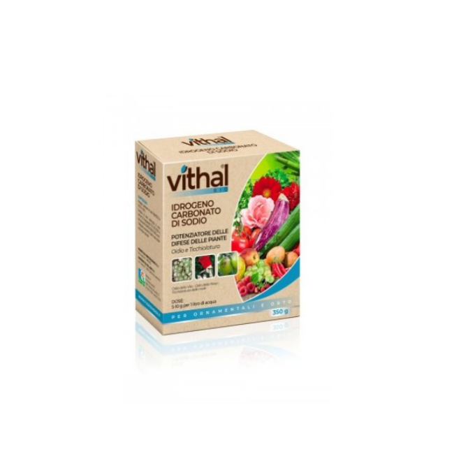 Idrogenocarbonato di Sodio 350 gr