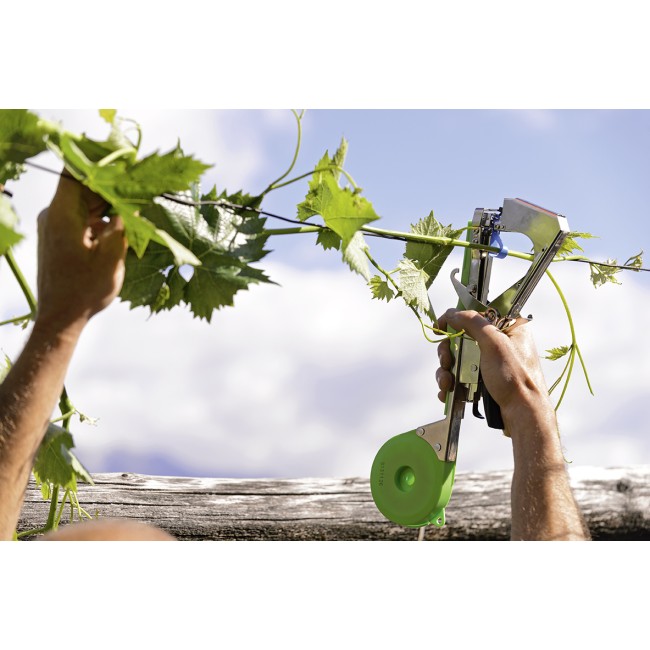 Legatrice Stocktap Stocker