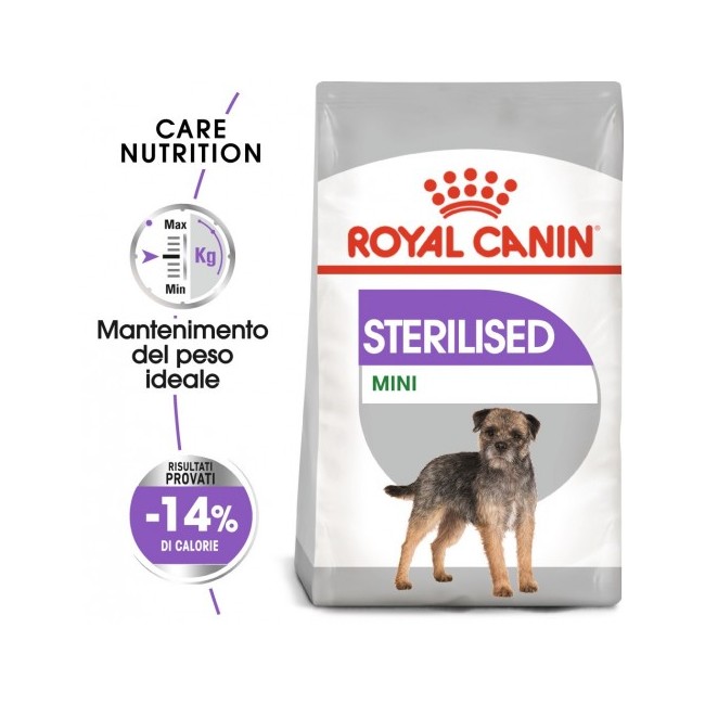 Crocchette Cane Medium Starter...