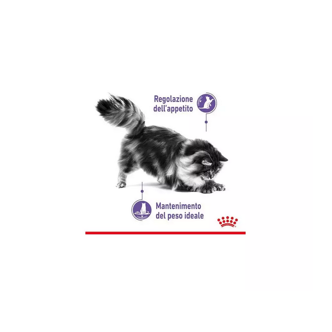 Crocchette Gatto Sterilised Appetite...