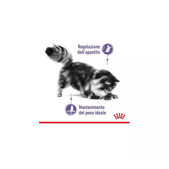 Crocchette Gatto Sterilised Appetite Control Royal Canin