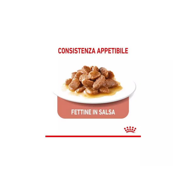 Umido Gatto Busta 85 gr Appetite Control Gravy Royal Canin