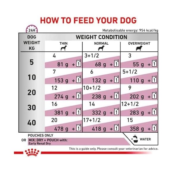 Umido Cane Busta 100 gr Early Renal Royal Canin