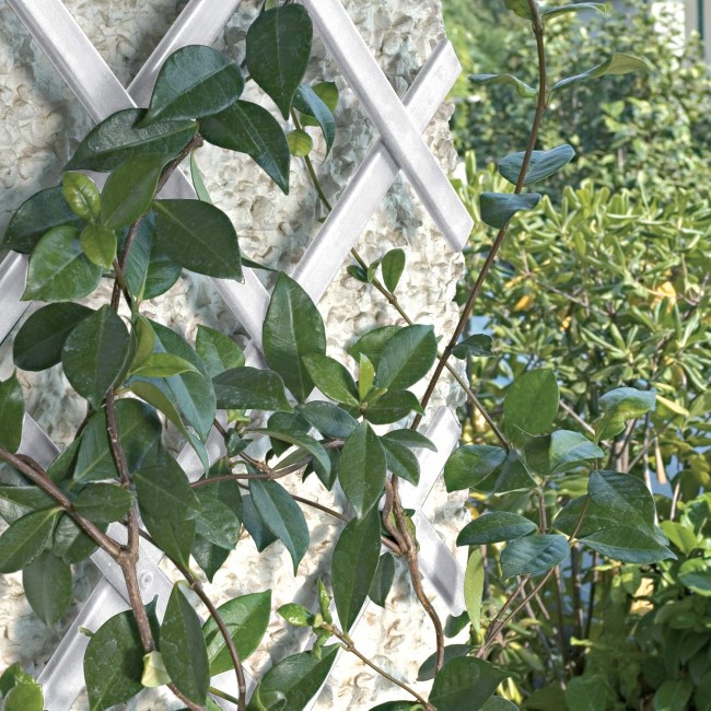 Traliccio Treplast Bianco 1x3 m Tenax